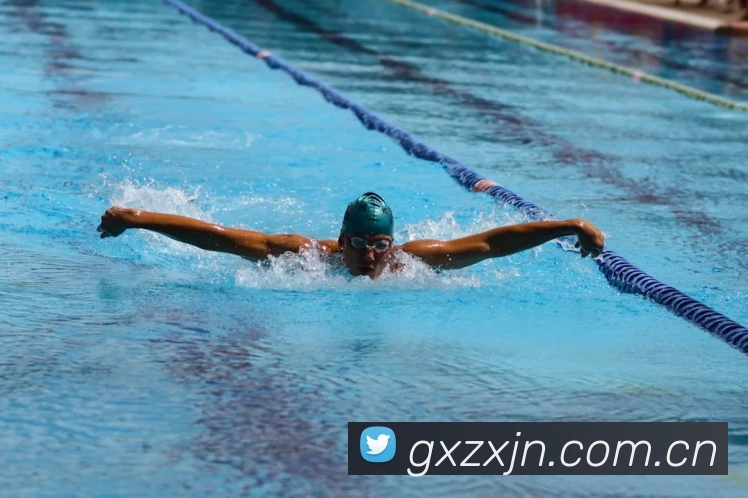 kaiyun体育官网登录平台生态图